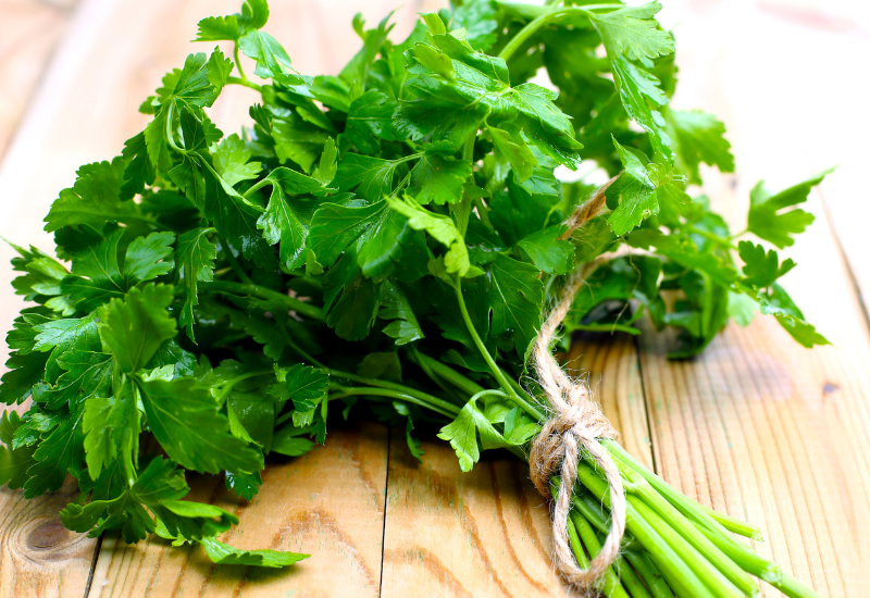 せりとは？知ってる栄養、下ごしらえ、絶品レシピまで徹底解説！