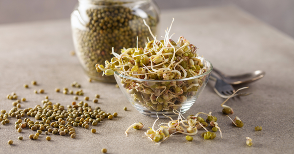 スプラウトの種：自宅で手軽に始める、栄養満点グリーン栽培ガイド