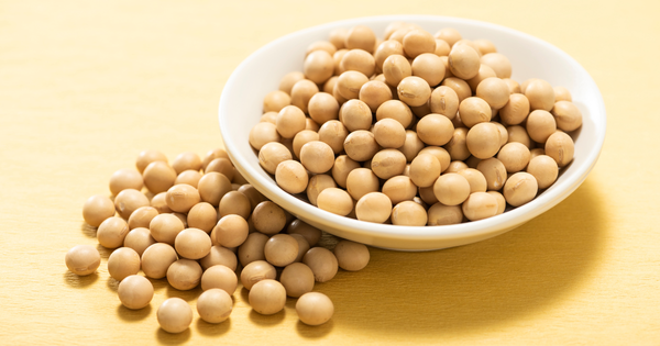 大豆の栄養と効能｜食べ過ぎは危険？おすすめの食べ方を解説