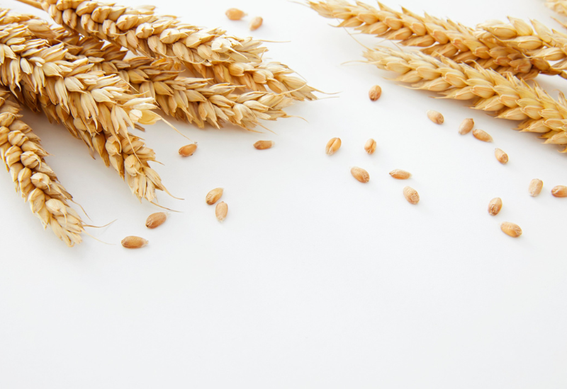 小麦 アレルギー 症状 大人