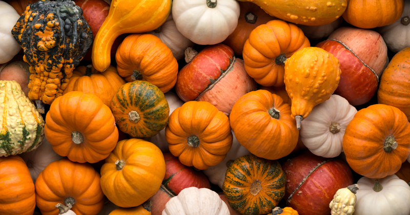 かぼちゃの特徴：旬、栄養、生産地を徹底解説