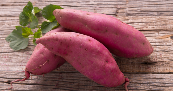 切ったさつまいもの保存方法：冷蔵・冷凍、夏場の対策、調理後の保存まで徹底解説