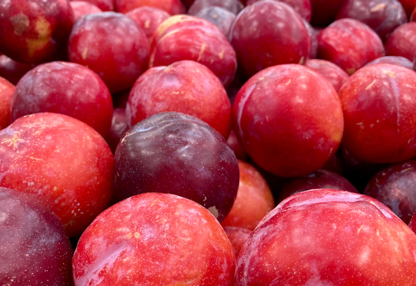 懐かしの味！駄菓子「すもも」を徹底解剖：実食レビューからおすすめアレンジまで