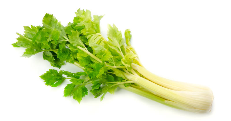 もう面倒じゃない！セロリの筋取り完全攻略ガイド：基本から裏技、時短レシピまで