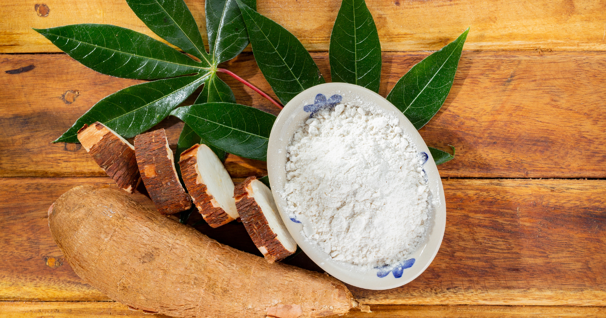 キャッサバ栽培：完全ガイド - 植え付けから収穫、保存までの全ステップ