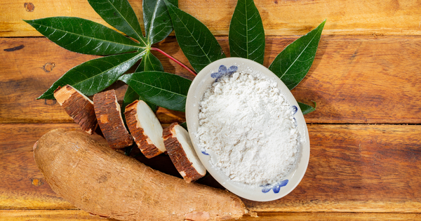 キャッサバ栽培：完全ガイド - 植え付けから収穫、保存までの全ステップ