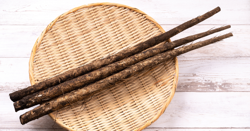 ごぼうの保存方法｜鮮度を長持ちさせる冷蔵・冷凍テクニックと選び方のコツ