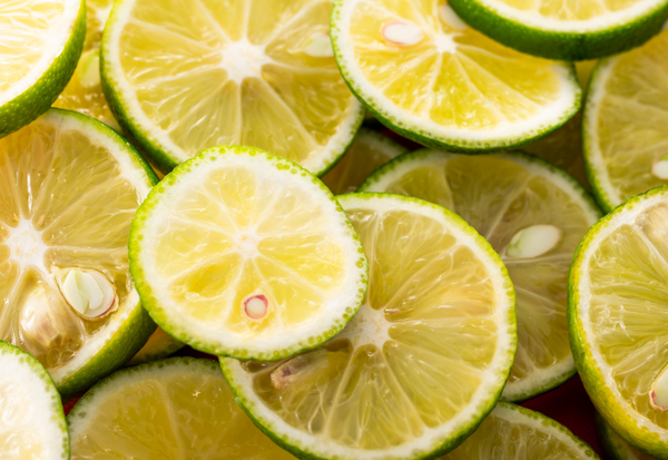 すだち栽培：育て方から収穫、病害虫対策まで徹底解説！