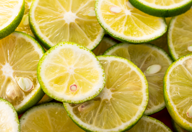 すだち栽培：育て方から収穫、病害虫対策まで徹底解説！