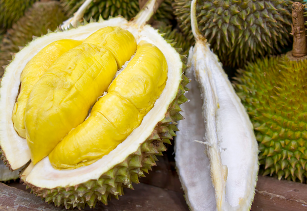 果物の王様「ドリアン」の全容：魅惑の味、ちょっとな匂いの正体、栄養、美味しい食べ方、注意点を徹底解説