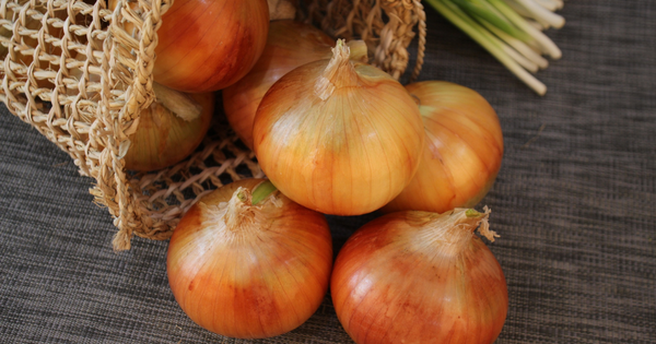 玉ねぎ冷蔵庫保存1ヶ月：長持ちさせる秘訣と注意点