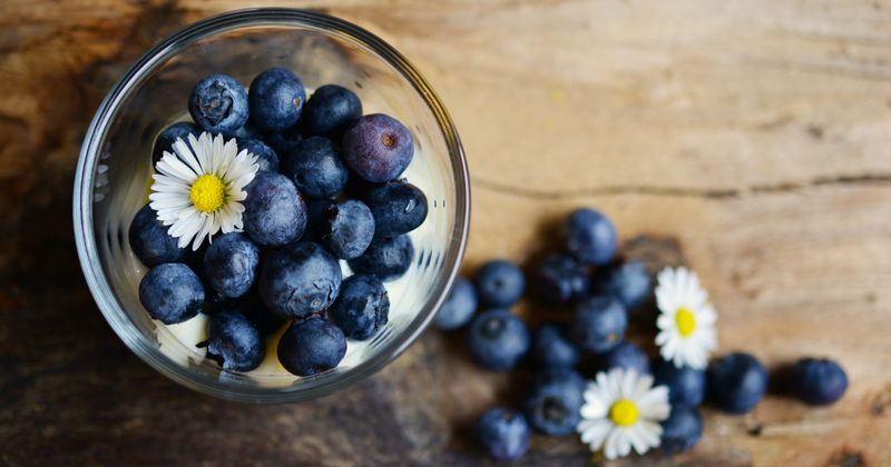 サザンハイブッシュブルーベリーとは？温暖地でも育てやすい品種の特徴と魅力