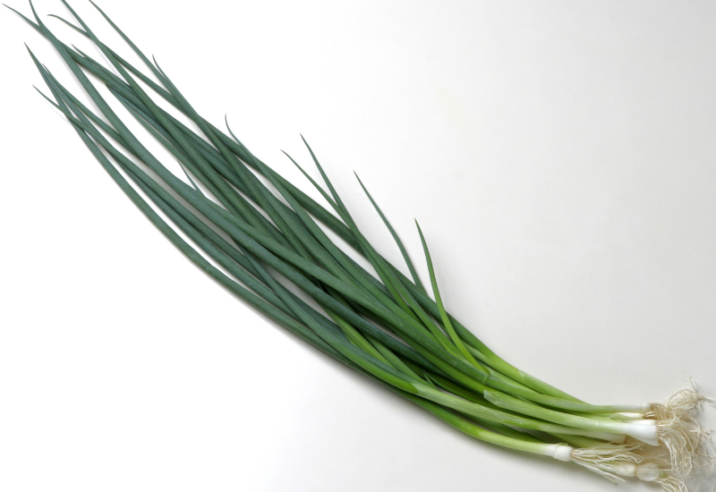 ニラを効果的に食べる！栄養満点な食べ方とレシピで健康をサポート