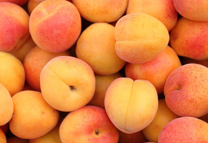 あんずと梅：日本の食文化を彩る二つの果実、その魅力と活用法