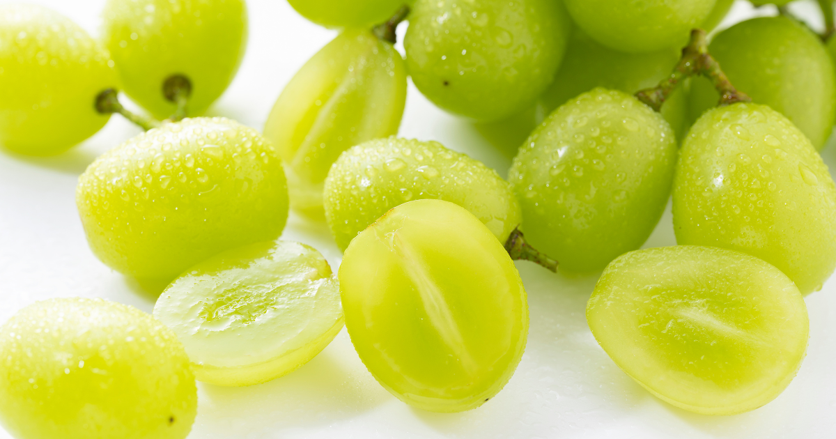 家庭で種なしぶどうを育てる：栽培方法と品種選びのポイント