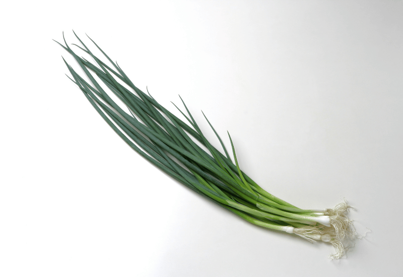 あさつき：繊細な見た目と強い辛味が織りなす薬味の魅力