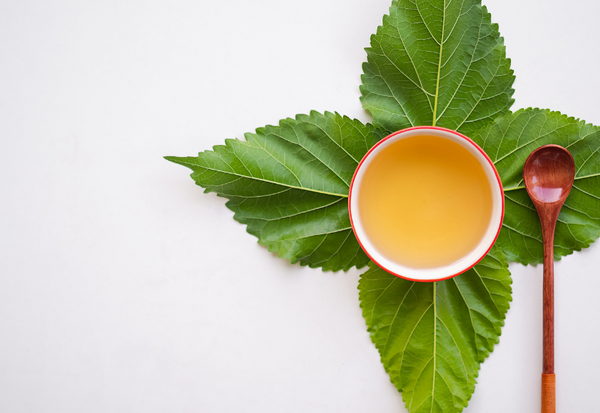 桑の葉茶効果