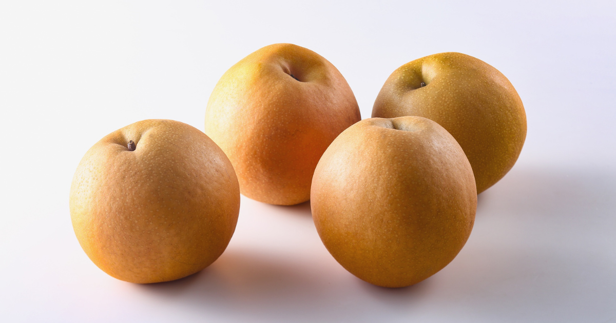 梨の育て方：初心者でも失敗しない栽培方法と甘い実を収穫するコツ