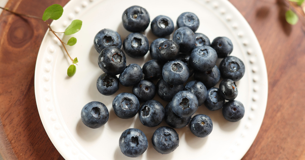 ブルーベリーの冷凍＆冷蔵保存術｜栄養と美味しさを長持ちさせるコツ