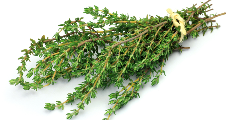 タイムとは？種類・使い方・効果から保存方法、おすすめレシピまで徹底解説