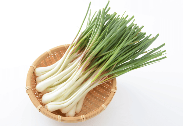 ワケギ：ネギとタマネギのハイブリッド、その知られざる魅力と多様な呼び名