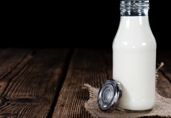 牛乳の栄養価：ぜひ知っておきたい成分と健康への効果