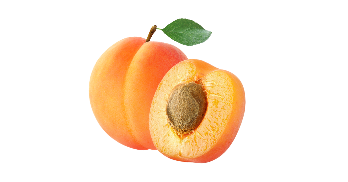 アプリコットとは