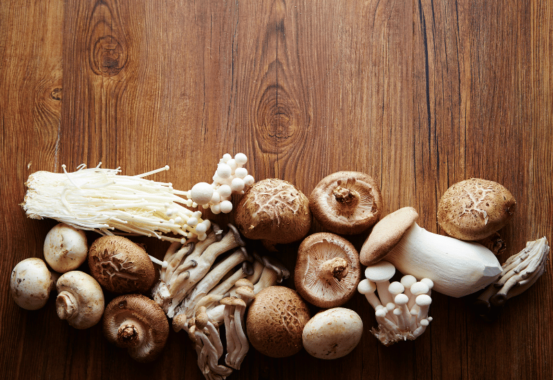 旬のきのこ：秋の味覚を食卓へ！栄養、選び方、保存方法まで徹底解説