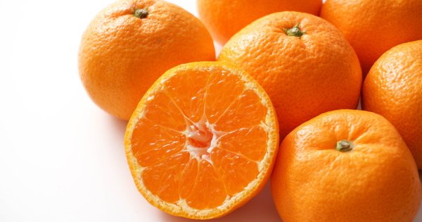 【みかん産地ランキング2024】人気品種と名産地を徹底解説