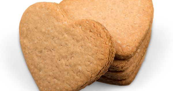 プレーン味とは？その意味、語源、多様な使用例を徹底解説