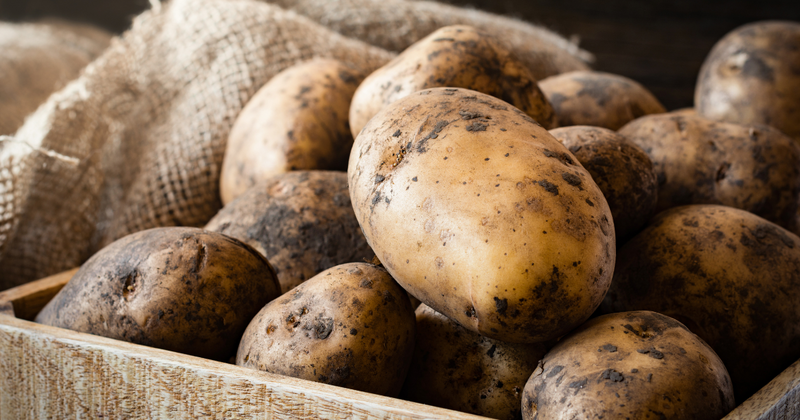 ジャガイモ原産地はどこ？アンデスから世界へ広がった物語