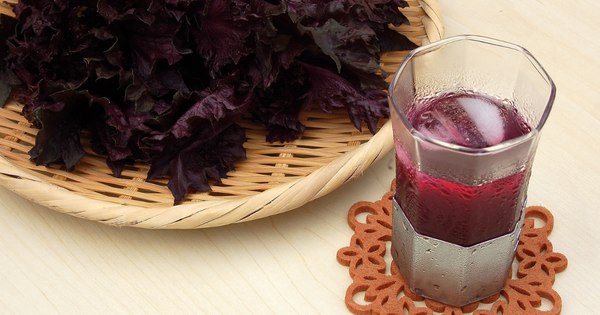 しそジュースの保存方法と賞味期限｜長持ちさせる秘訣を徹底解説