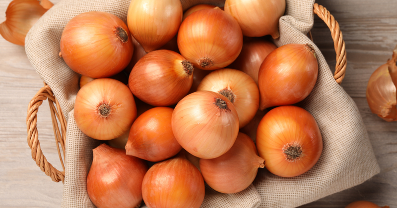 玉ねぎ収穫後の畑をフル活用！6月植え付けOK！後作におすすめ野菜と栽培の利点