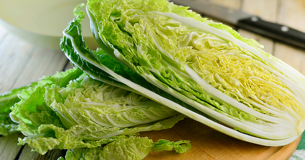 農家直伝！新鮮で美味しい白菜の見分け方と長持ち保存術