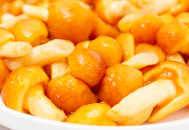 なめこは腐るとどうなる？見分け方から保存方法、賞味期限まで徹底解説