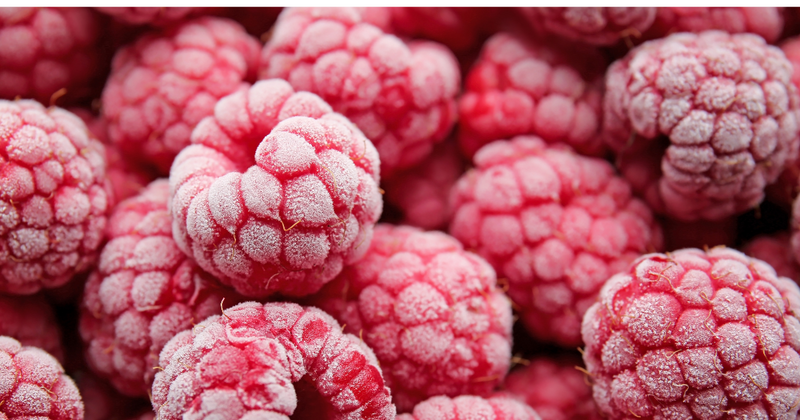 冷凍ラズベリー：美味しさと栄養を閉じ込めた、一年中楽しめる万能食材