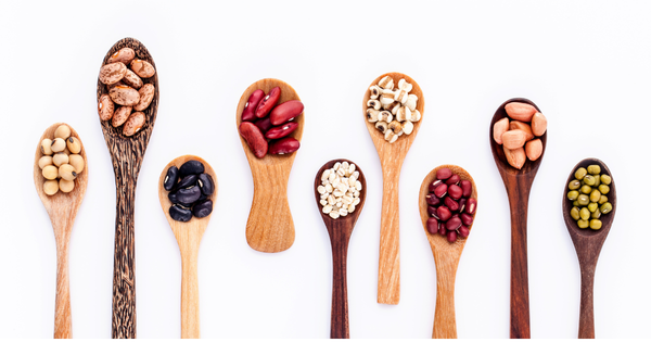 驚くべき豆の栄養：未来のヘルシー食品がもたらす健康効果と活用術