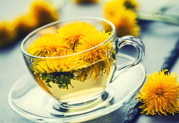 妊娠中のあなたに寄り添う：たんぽぽ茶の効能、安全性、そして賢い選び方