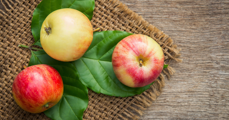 冷凍りんごで離乳食を楽々！月齢別レシピと保存方法