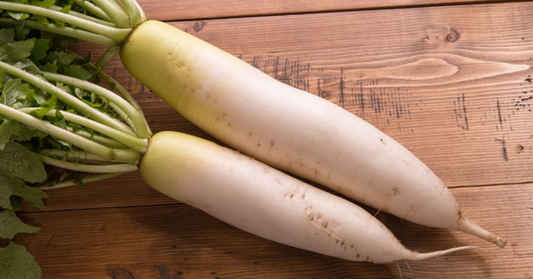 大根の収穫時期はいつ？見極め方から保存方法まで徹底解説｜家庭菜園の完全ガイド