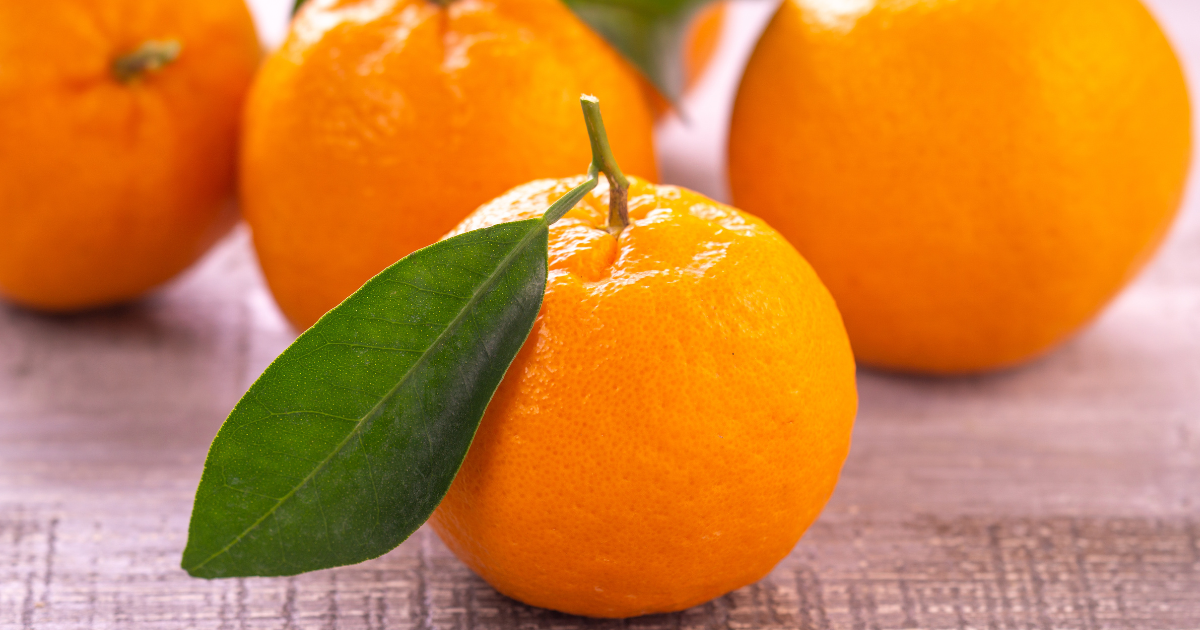 ポンカン徹底ガイド：デコポンとの違い、旬の時期、美味しい食べ方