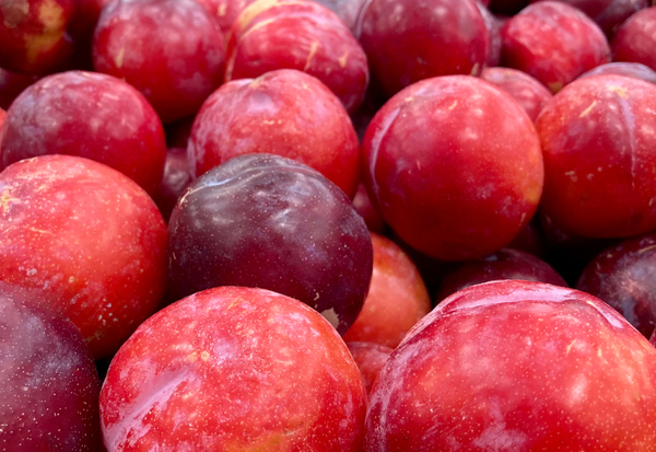 すももとプラムは何が違う？品種、旬の時期、美味しい食べ方を徹底解説！