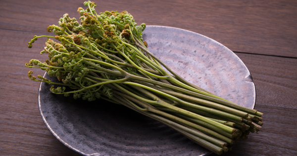 わらび：春の味覚を食卓へ！特徴、栄養、あく抜き方法、簡単レシピを徹底解説