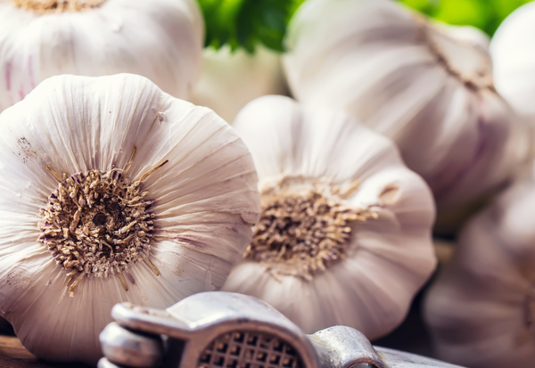 にんにくの産地：国内主要生産地と地域ごとの特性