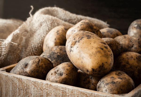 もう迷わない！美味しいじゃがいもの選び方