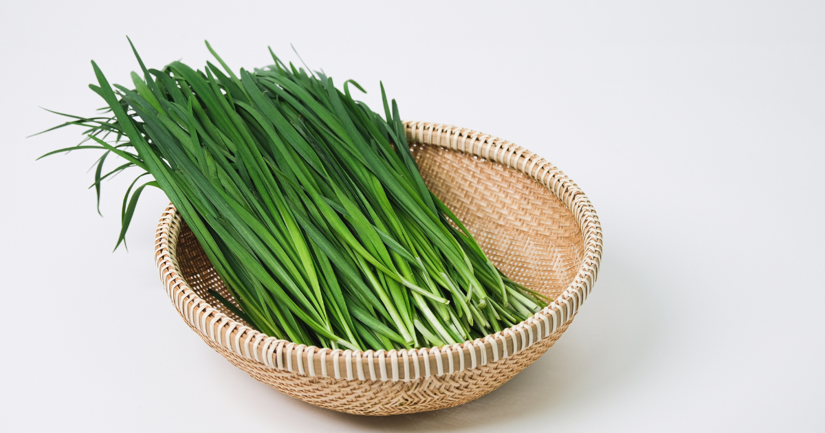 ニラを食べ過ぎるとどうなる？下痢・腹痛のリスクと栄養、適量について徹底解説