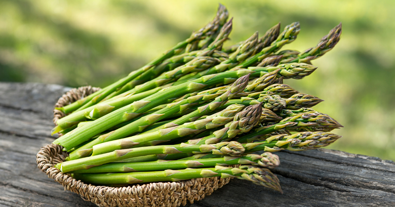 もう迷わない！アスパラガス筋取り完全ガイド：種類別、部位別、時期別の最適解