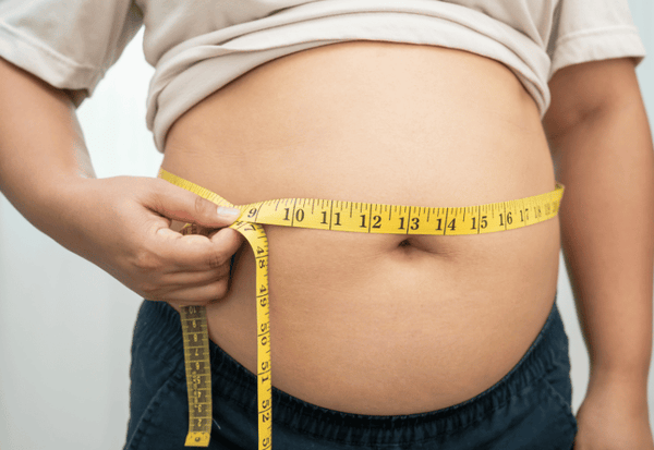 健康的な生活を送るための脂質栄養ガイド