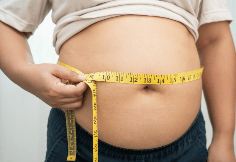 健康的な生活を送るための脂質栄養ガイド