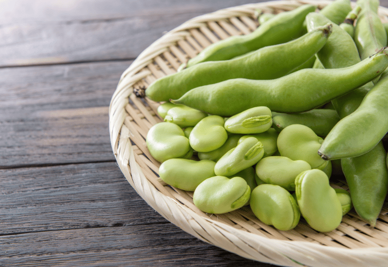 そら豆の栄養：旬の時期に味わう健康効果と美味しさの秘密
